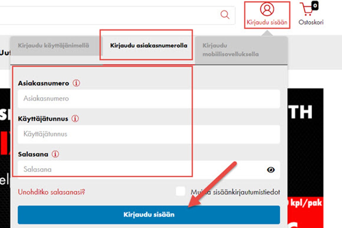Kirjautuminen