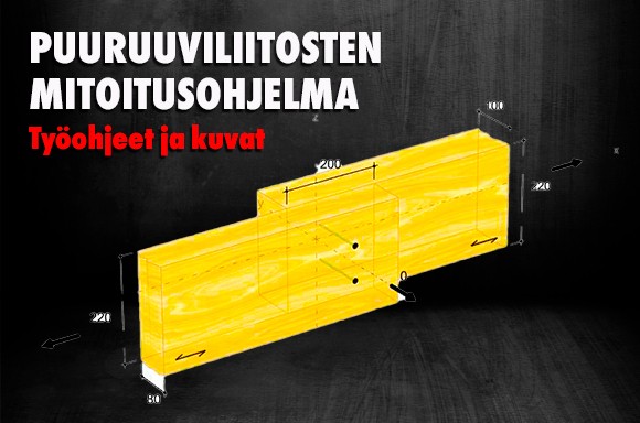 Puuruuviliitosten mitoitusohjelma